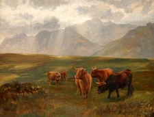 Highland cattle Giclee art Oil painting HD printed on canvas L3309