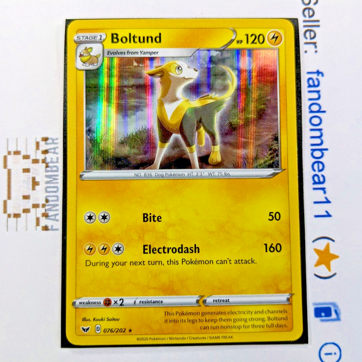 Boltund HOLO RARE card 076/202 Sword & Shield Base Set 2020 Pokemon TCG  NM/LP