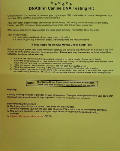 accumetrics dog dna