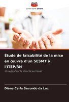ÉTude De Faisabilité De La Mise En ¿Uvre D'un Sesmt à L'itep/Rn Luz Taschenbuch