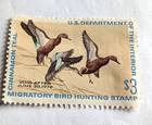 1972 Cinnamon Teal migratory bird hunting stamp $3 — photo 1