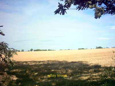 Foto 6x4 Weizenfeld nach der Ernte Bruisyard Off Pound Green Road c2006