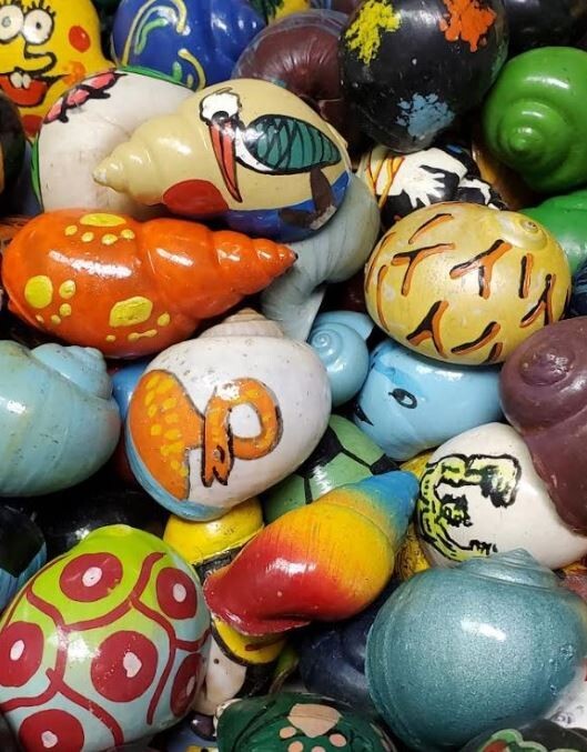 3 RANDOM Painted Hermit Crab Shell Turbo Novelty Aprox 1 ¼