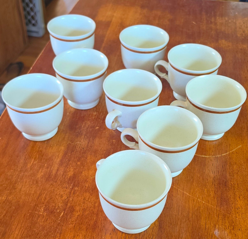 Hearthside Stoneware Floral Expressions Set of 9 Beige/Brown Japan Cups