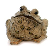 Home & Garden Toad Tan Xl Polyresin Toad Hollow 99813 Home & Garden Toad Tan Xl Polyresin Toad Hollow 99813