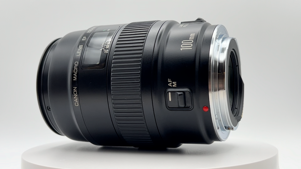 Top Mint Canon EF 100mm F/2.8 Macro AF Portrait Lens W/Lens Top Mint Canon EF 100mm F/2.8 Macro AF Portrait Lens W/Lens