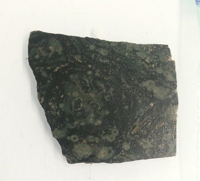 Kambaba Jasper Slab For Cab
