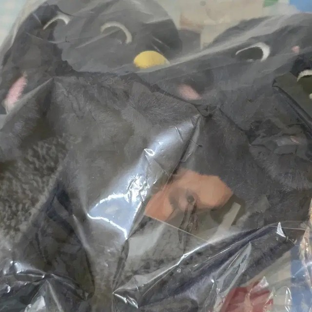 Rise Wonbin Tohnyud Room Shoes - Unopened with Photo Card