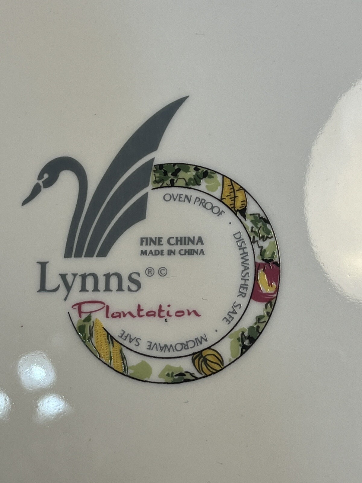 Lynn's Fine China 6- Chop Dinner Plates, Measures 12 “ Vegetable Medley Design