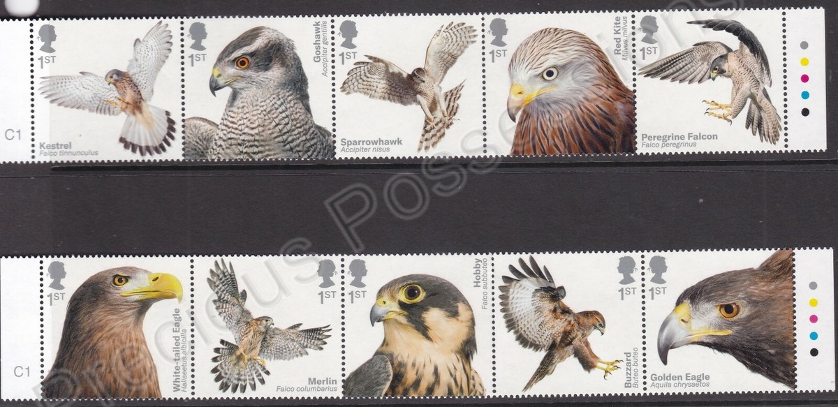 GB SG 4200-4209 MNH MINT STAMP SET 2019 BIRDS OF PREY | eBay UK