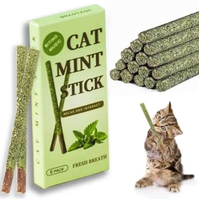 6PCS Natural Matatabi Cat Sticks – Silvervine Chew Toys for Teeth