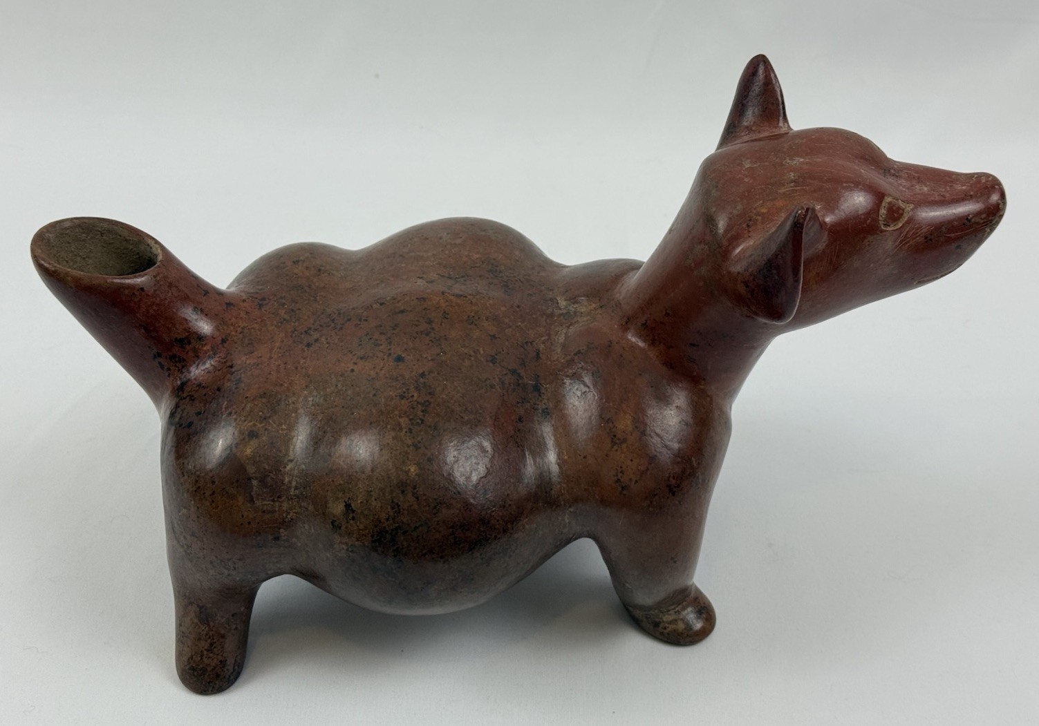 Large Pre-Columbian Colima Dog Pottery Pecher Vessel, 250 BC - 250 AD