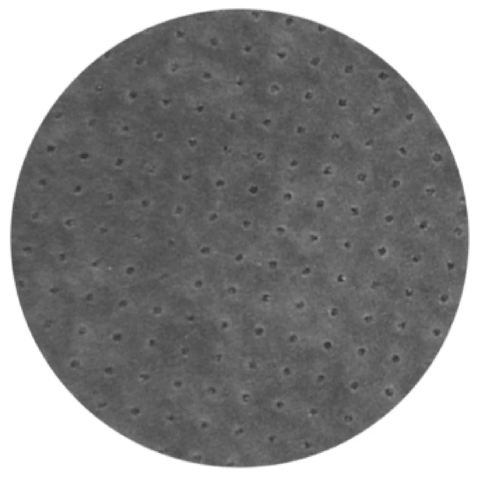 BMW 540i xDrive 2017-2022 con cubierta de tablero de gamuza HUD Sedona gris carbón Foto 2 de 3