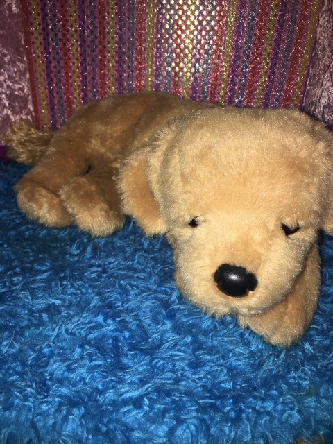 douglas brand stuffed animals