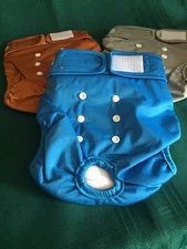 Dog Diapers Set of 3 Reuseable , LG, for Female Wegreeco Washable Premium