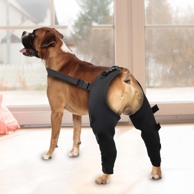 Dog Hip Brace Adjustable Pet Dog Legs Protector Supporter Knee Brace Health Care