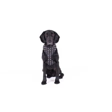 Mog & Bone Neoprene Dog Harness (Black Cross) - XL