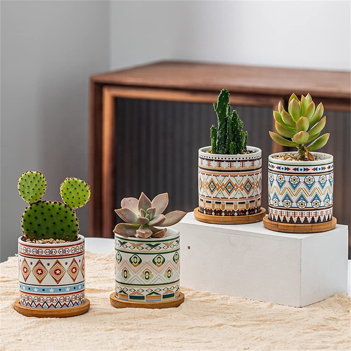 Castus Containers 4Pcs Cactus Plant Pot Mini Succulent Plant Container, with Drainage ...