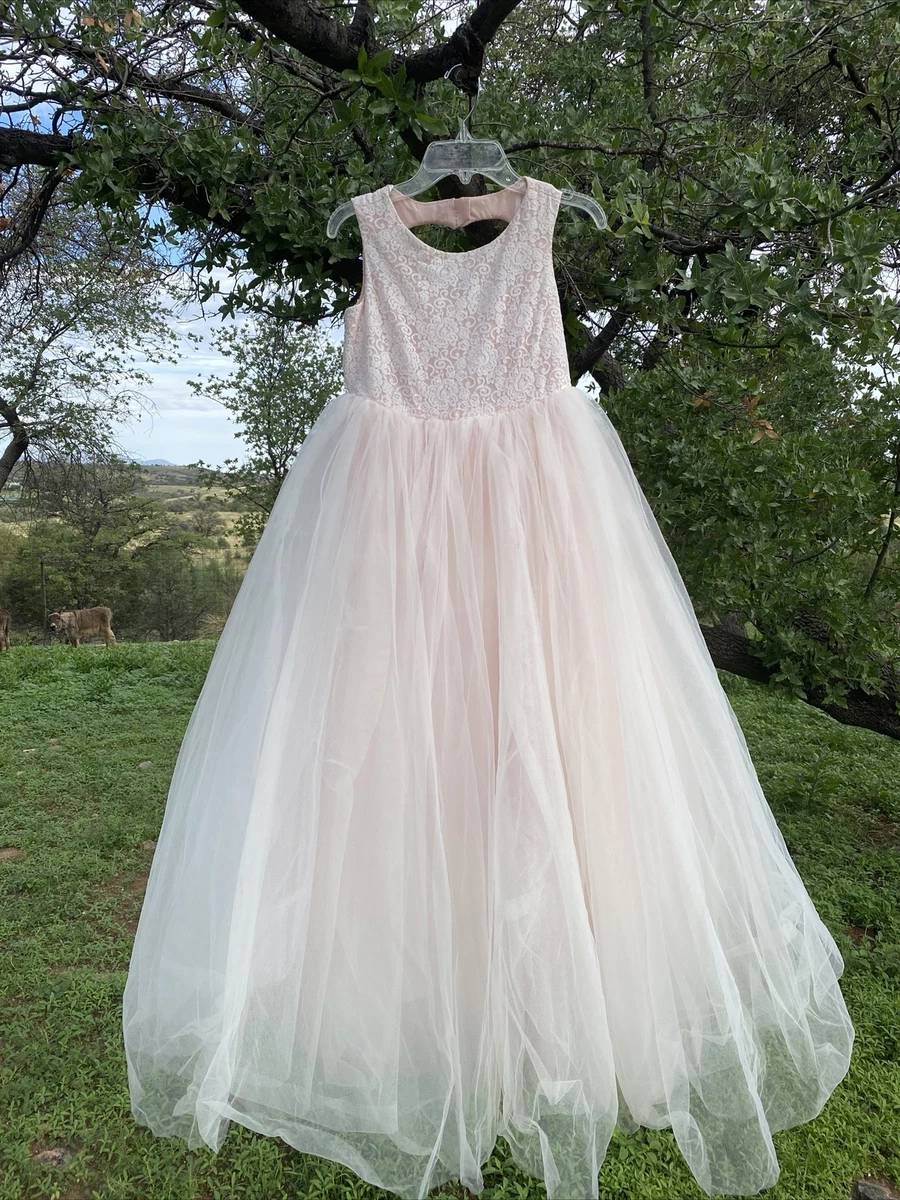 David's bridal shop princess dress