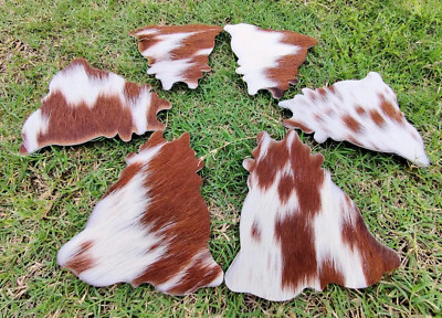 Handcrafted Real CowHide Leather/Hair-on /Round Shape/ Tea Coaster - Set of 6