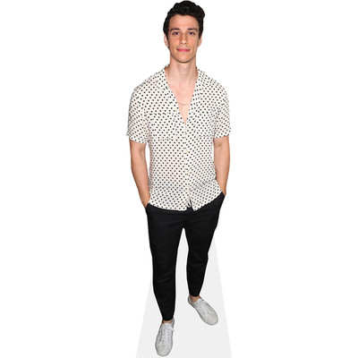 Adam DiMarco (Spotty Shirt) Mini Size Cutout