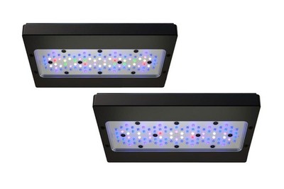 Ecotech Marine Radion XR30 G6