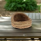 Bild 3 von 12