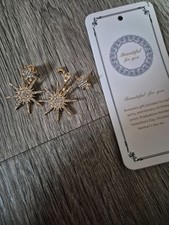 2 pcs gold star earings