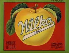 WILKO Apple APPLES Fruit Crate LABEL Connell Bro Seattle WA San Francisco CA Vtg