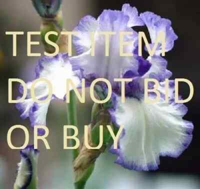 MO Test item 6: Do not buy or make offer Best Offer (Multi Qty)