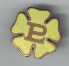Primrose League Official Badge Lapel Yellow