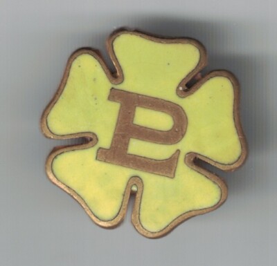Primrose League Official Badge Lapel Yellow