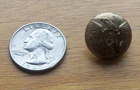 Civil War Small Button NY Horstman