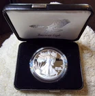 2025 W American Silver Eagle Choice Proof Bullion $1 Coin in a Box with COA