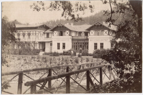 Original vintage 1885 centro de medicina acuática Sauerbrunn, piedra de puchín Giesshübel - Imagen 1 de 1
