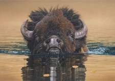 Daniel SMITH Stillwater Crossing LTD Edition Signed Numbered Canvas ART BISON