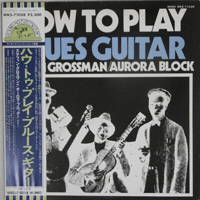 LP Stefan Grossman / Rory Block How To Play Blues Guitar MONO + OBI JAPAN