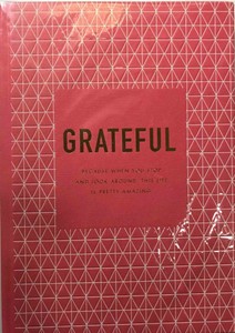 pregnancy journal kikki k