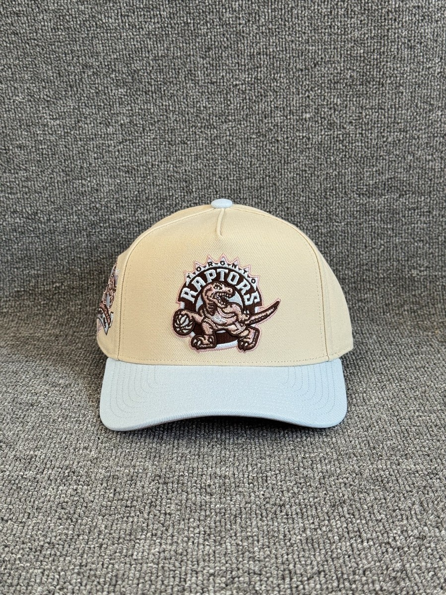 Mitchell & Ness Toronto Raptors NBA Snapback Hat Inaugural Season Cream Blue