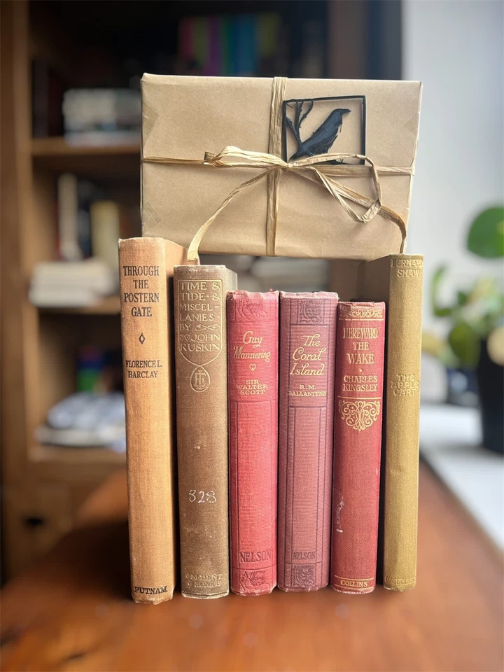 Blind Vintage Story Book ~ Mystery 100+ Year Old Novel ~ antique gift - Image 2 of 4