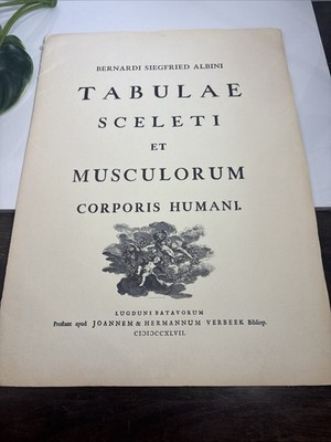 9 PRINTS, Tabulae Sceleti Et Musculorum Corporis Humani, Norflex Riker lab 1964