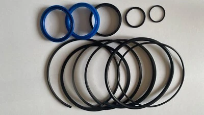 CANNY HYDRAULICS Hydraulic Log splitter cylinder rebuild seal kit for 4.0"Bore x 1.75" rod cylin