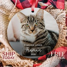 Custom Forever Loved Cat Ornament, Cat Remembrance Gift, Pet Memorial Christmas