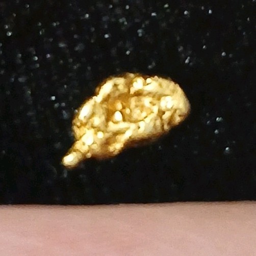 RARE .4 Gram 23.7 KT Natural Gold Nugget From Crisson Mine