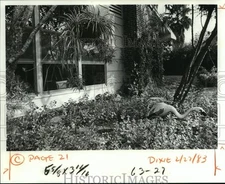 1983 Press Photo Exterior Window and Landscaping at Denise Chenel House