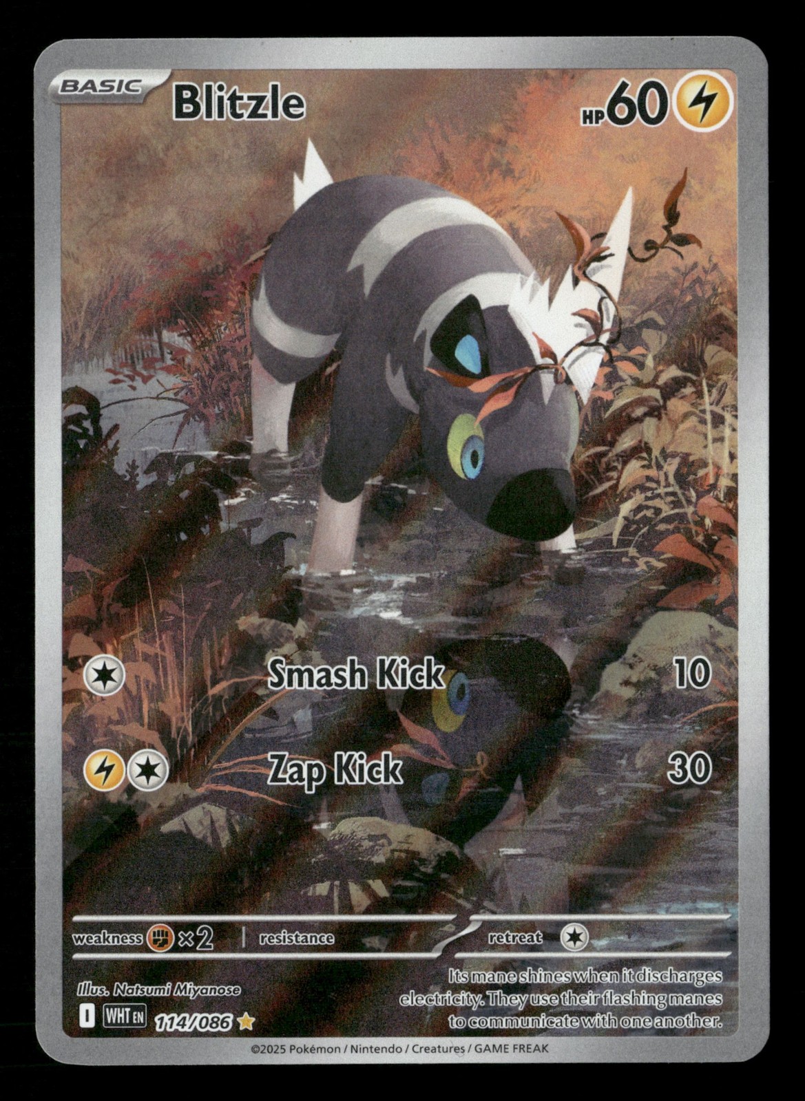 Blitzle - 114/086 - Illustration Rare - White Flare - Pokemon Card - NM/M