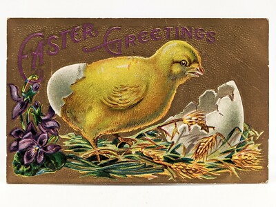 Victorian Antique Postcard Easter Yellow Chick Hatching Egg Purple Flower Wheat