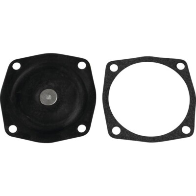 Diaphragm Kit For Tecumseh 630978 631069 1400 1500 AV520 H30 LAV40 | eBay