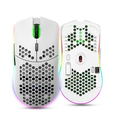 HXSJ T66 Kabellose Gaming-Maus RGB 750 mAh Akku für Windows, Mac OS, Laptop