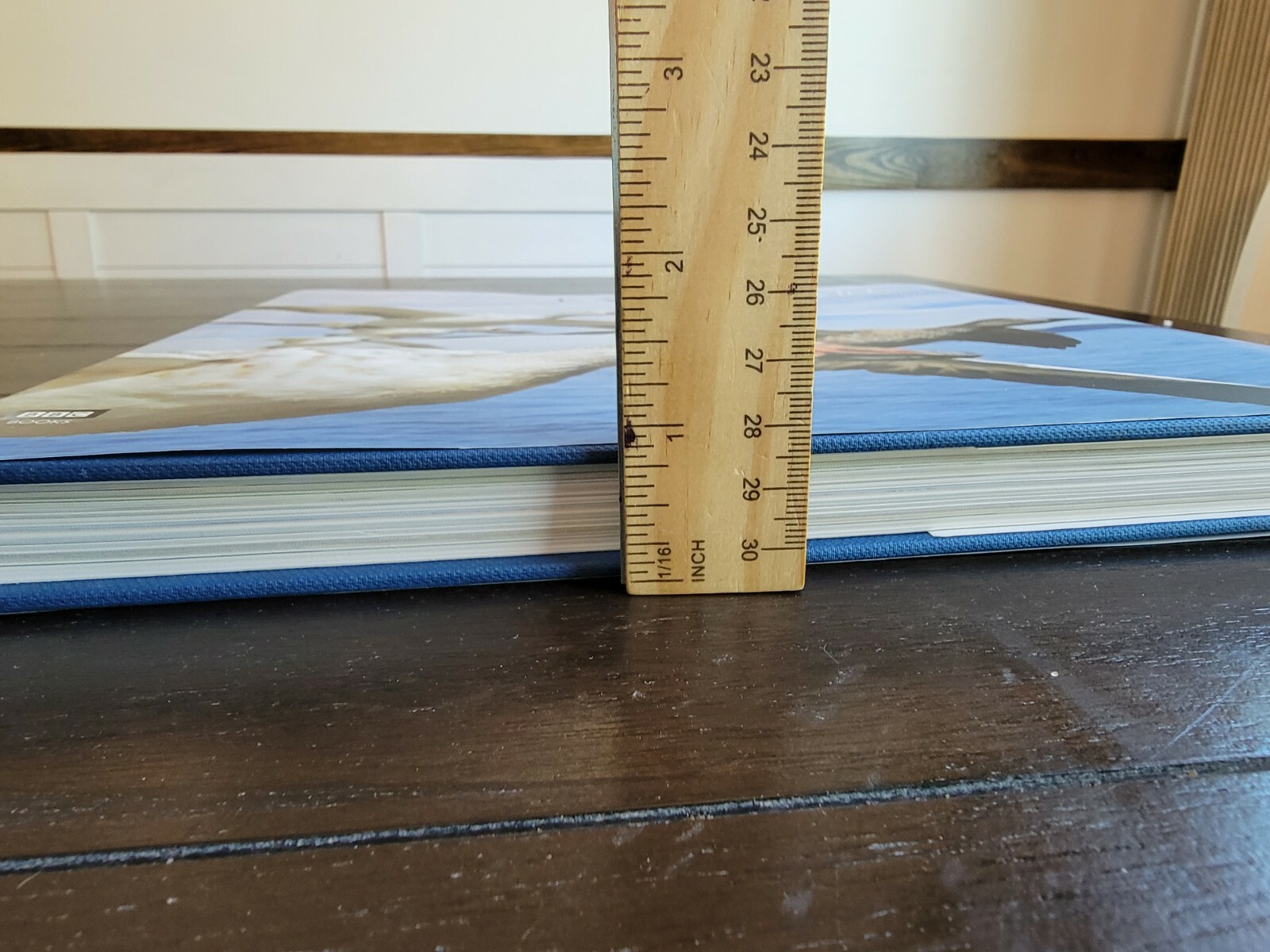 Picture 10 of 10